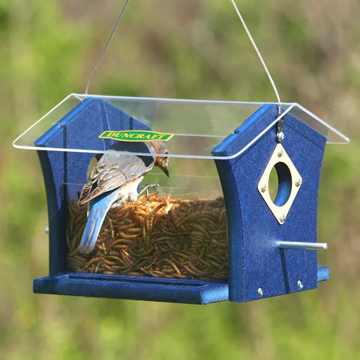 Duncraft Classic Ported Bluebird Mealworm Feeder