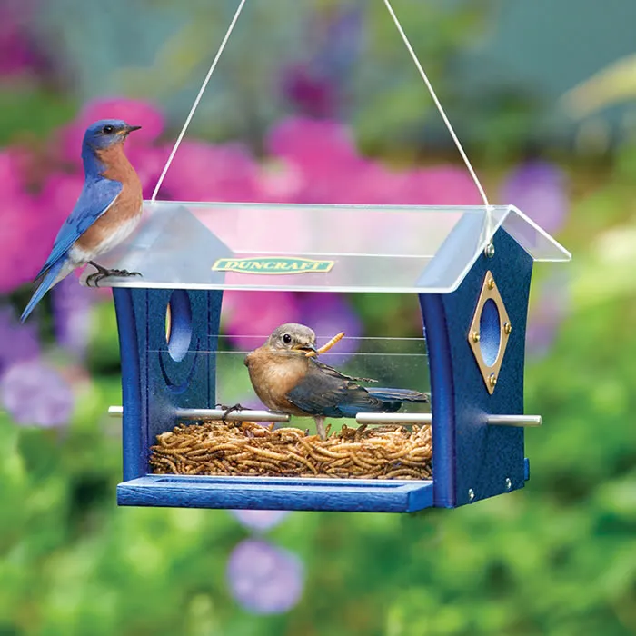 Duncraft Classic Ported Bluebird Mealworm Feeder