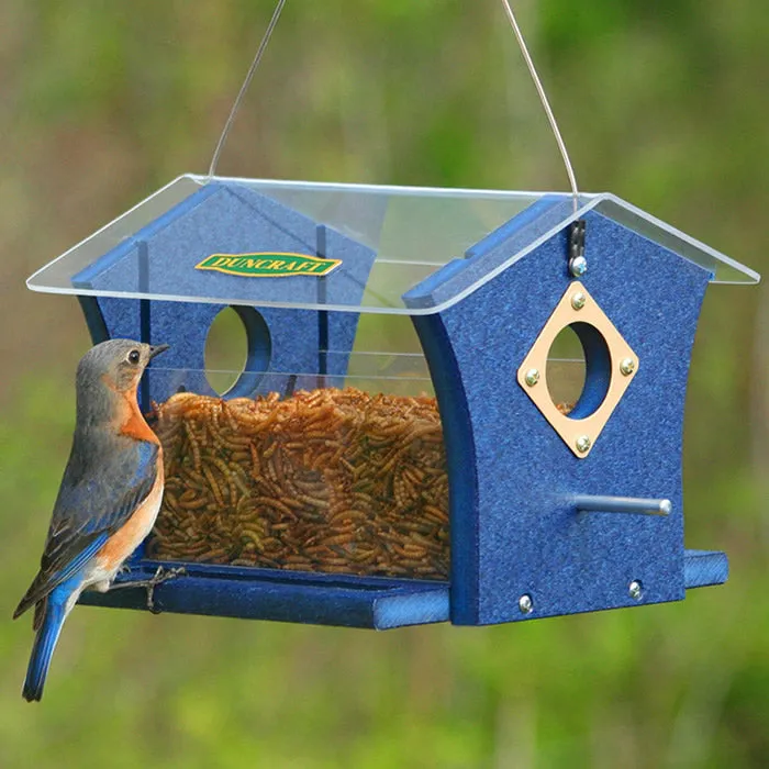 Duncraft Classic Ported Bluebird Mealworm Feeder