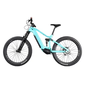 Enduro ebike E11