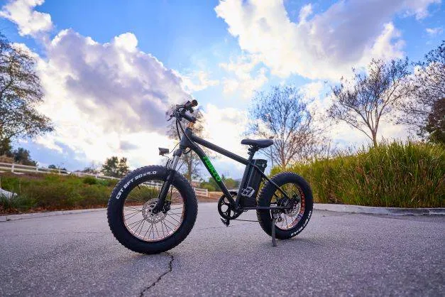 Nakto Mini Cruiser 20" Fat Tire Electric Bike 300W 36V