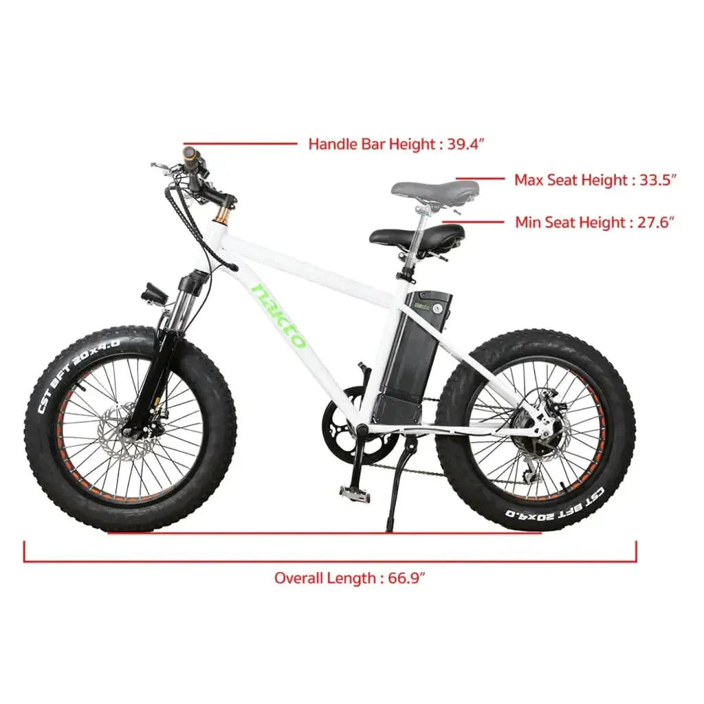 Nakto Mini Cruiser 20" Fat Tire Electric Bike 300W 36V